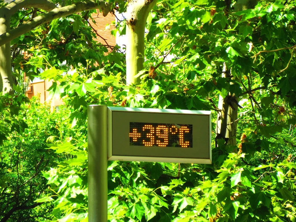Imagen editorial sobre calor extremo y educacion.